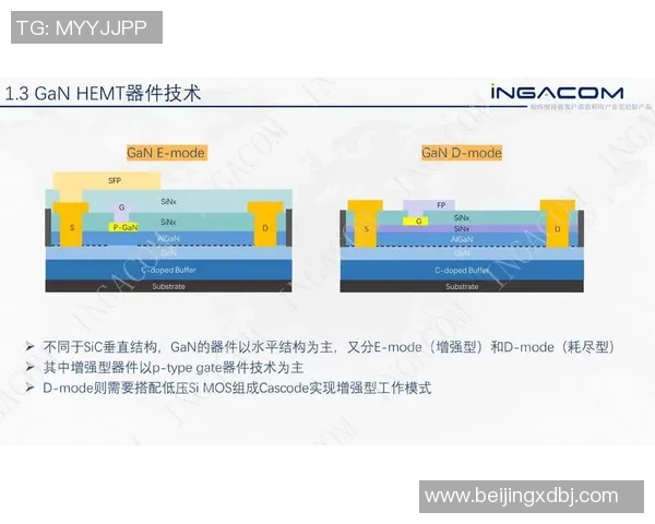 褔冈黄蜂对阵町田泽维亚精彩直播全程回顾与分析