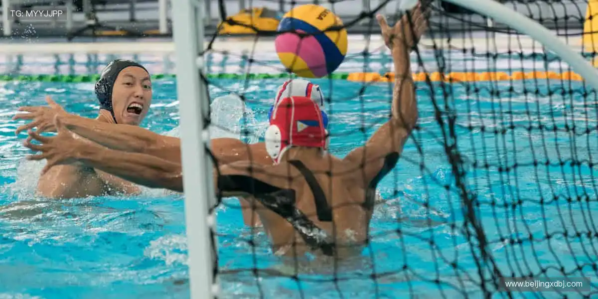 数据与激情同频，专业共欢乐一色！📊🎉 用科技解锁体育新视角！